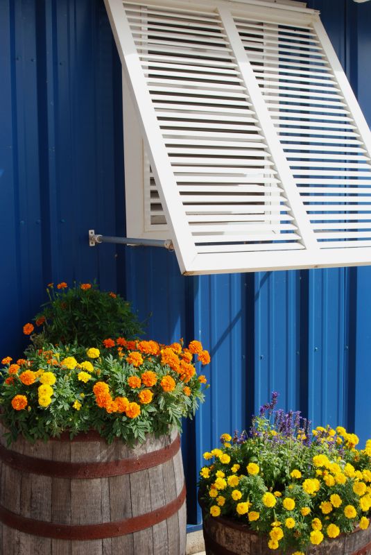Shutters Installation in Denver, CO